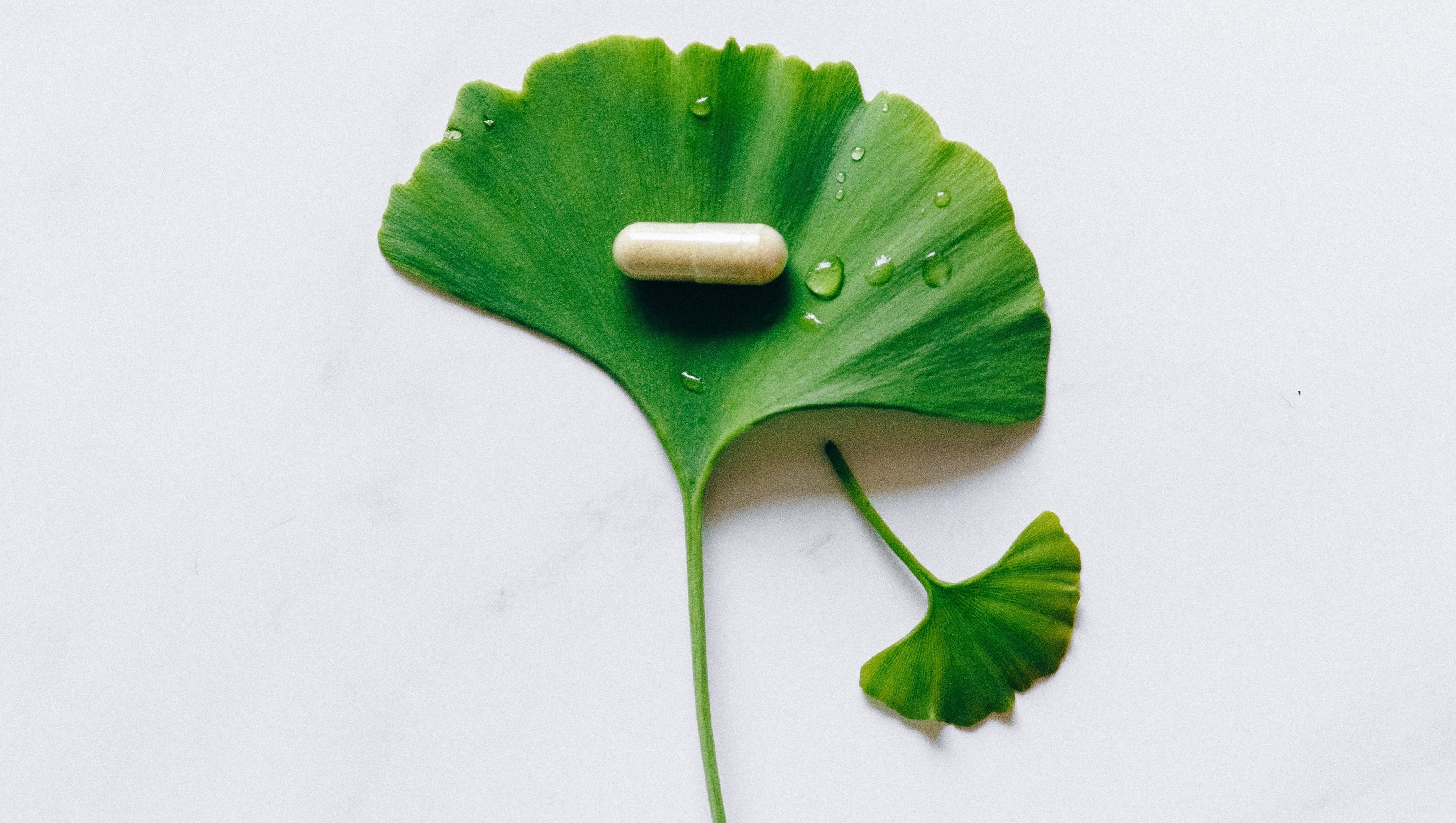 functie van magnesium in het lichaam supplement