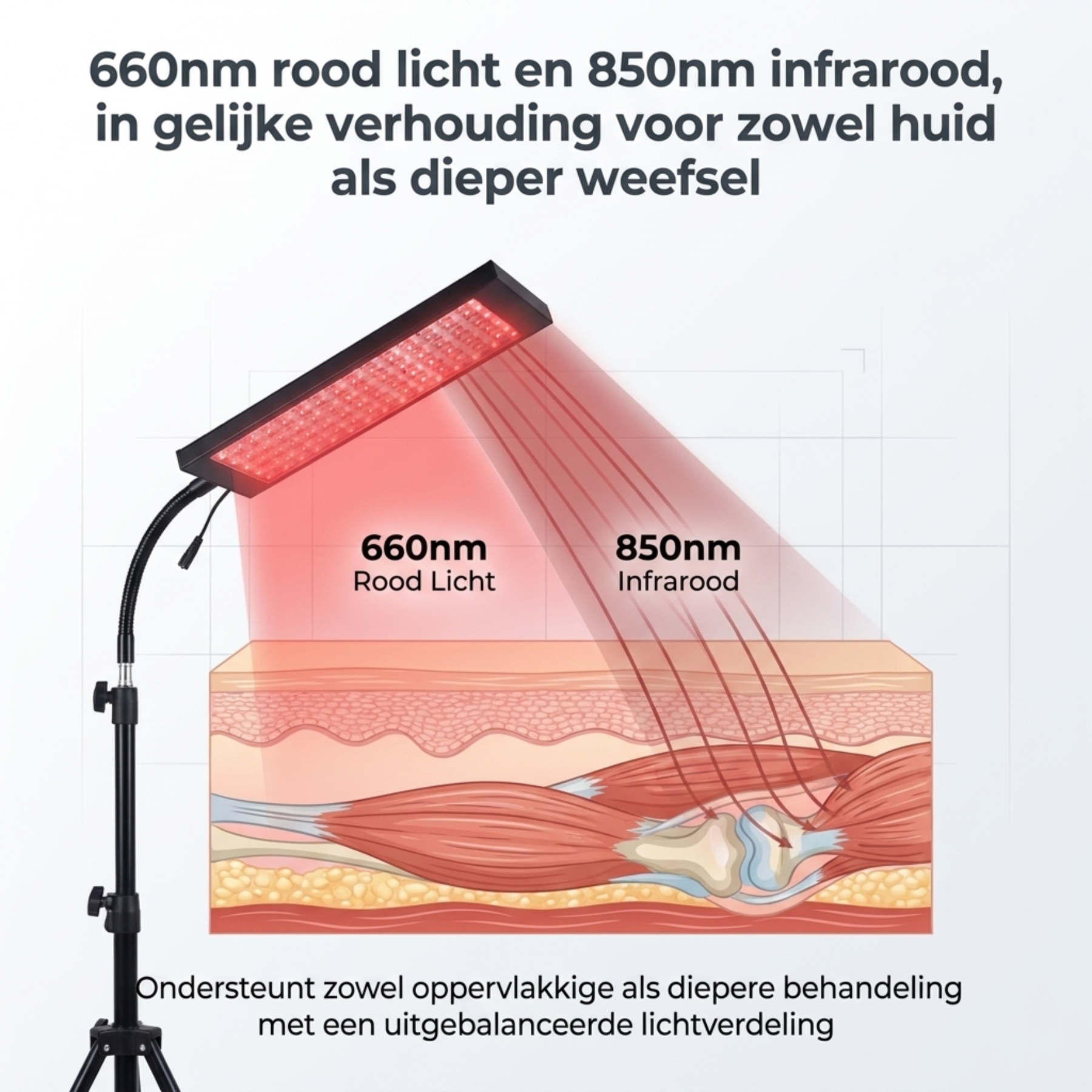 Infrarotlampe - 850 & 660 NM Rotlichttherapie - Mit Standard