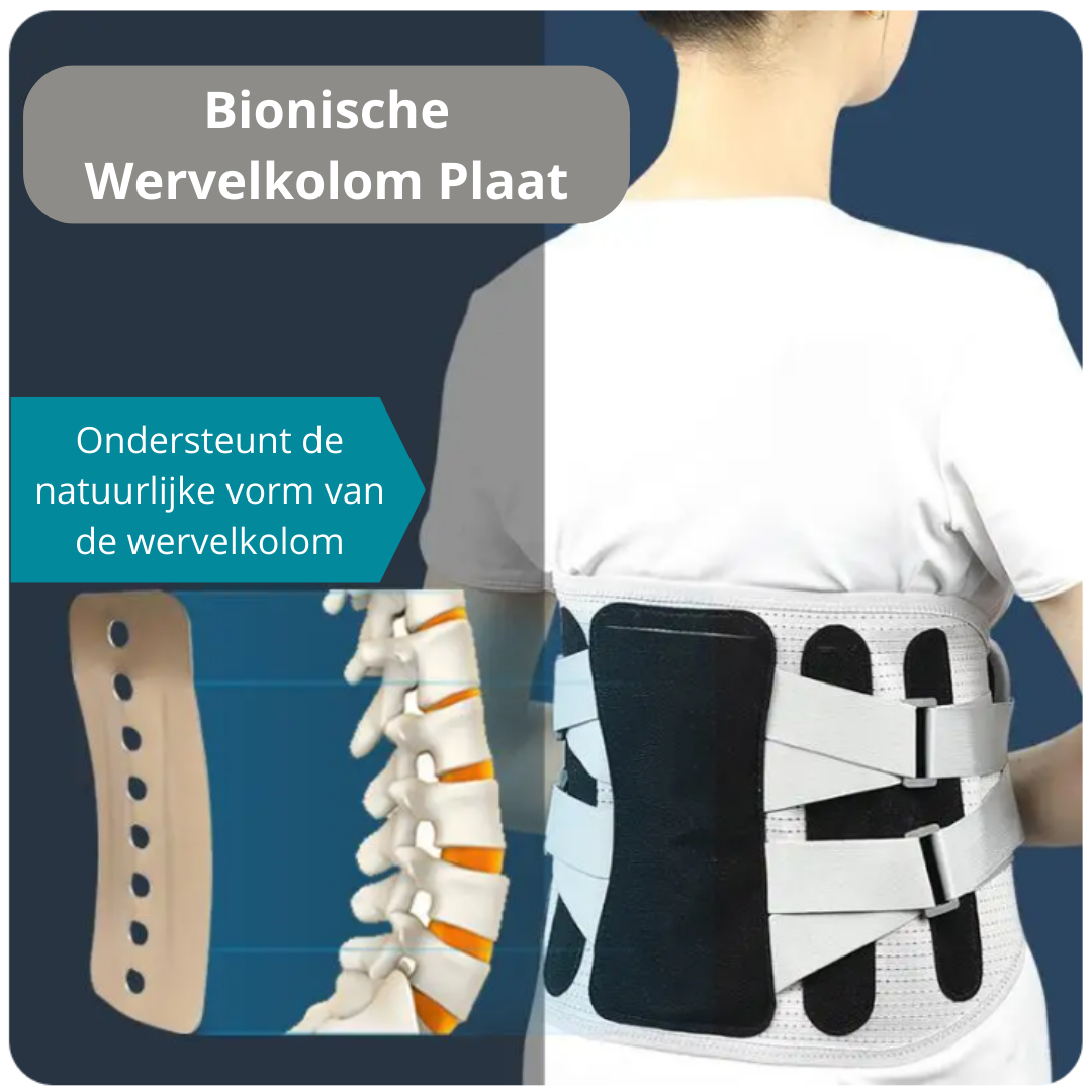 rugbrace kopen beste ondersteuning stevige rugbrace rugbrace met veren brace met extra ondersteuning voor onderrug hernia stenose ingezakte wervels rugsupport rug ondersteuning zere rug tijdens werken ingezakte wervels